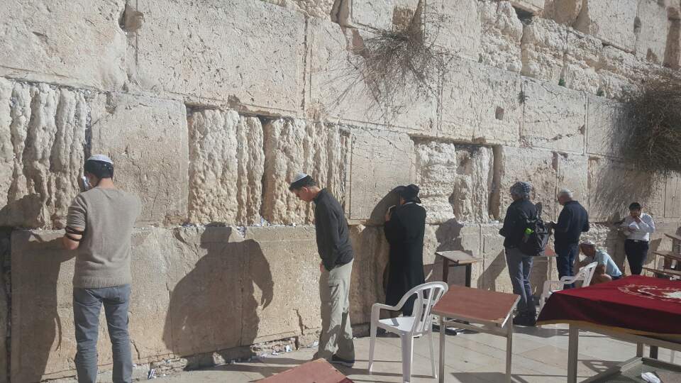 통곡의 벽 견학